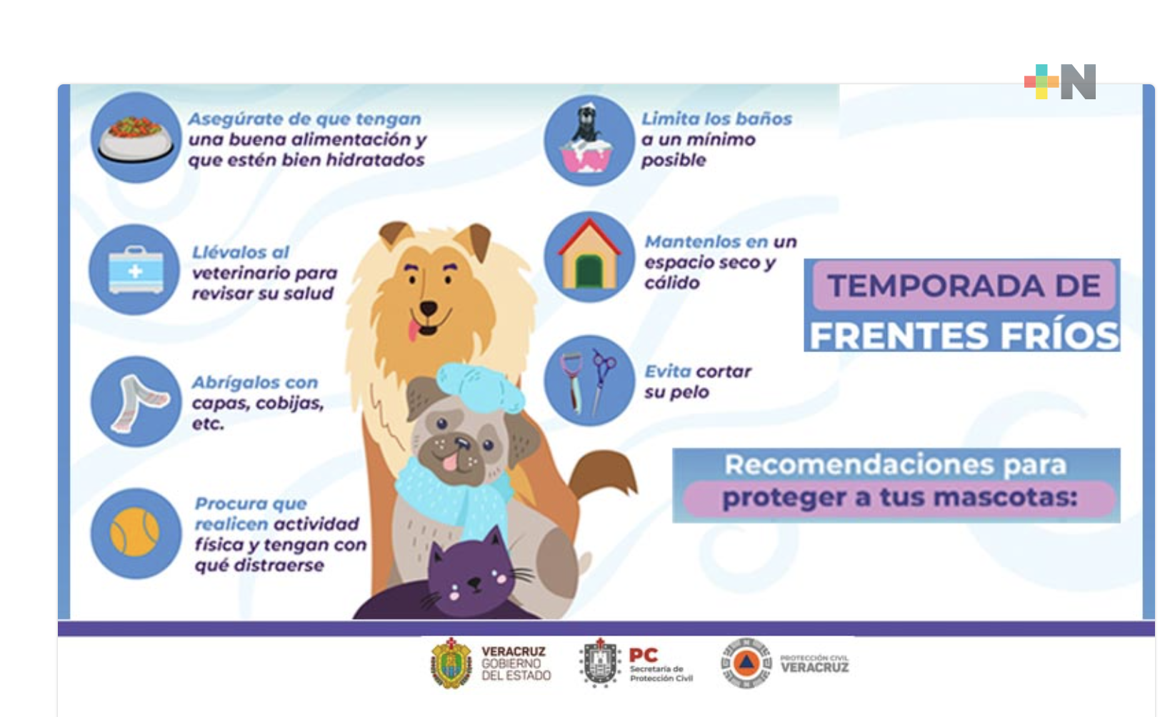 Hay que fortalecer el sistema inmunológico mediante una alimentación saludable: SS/Sesver